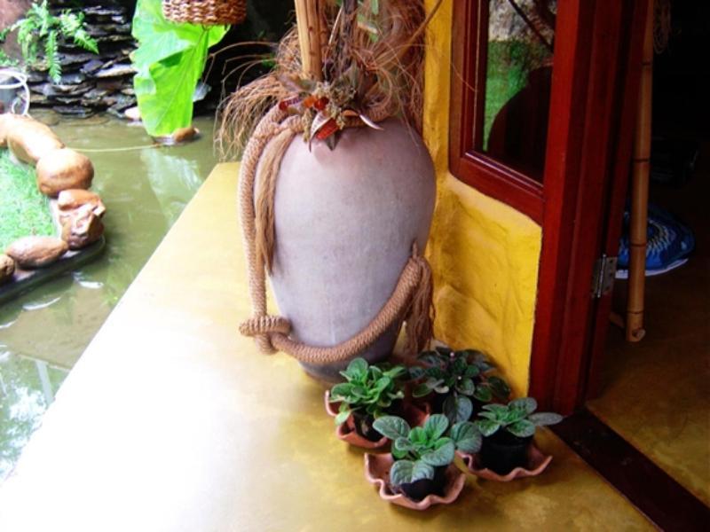 Pousada Bambu Brasil São Jorge Extérieur photo